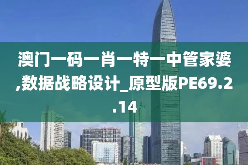 澳门一码一肖一特一中管家婆,数据战略设计_原型版PE69.2.14