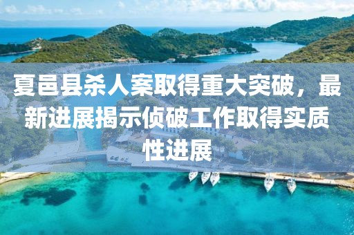 夏邑县杀人案取得重大突破，最新进展揭示侦破工作取得实质性进展