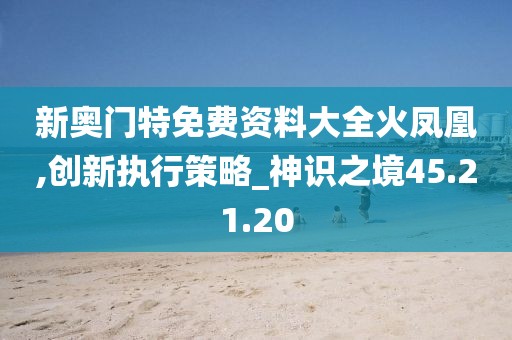 新奥门特免费资料大全火凤凰,创新执行策略_神识之境45.21.20