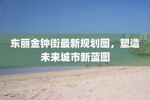 东丽金钟街最新规划图，塑造未来城市新蓝图
