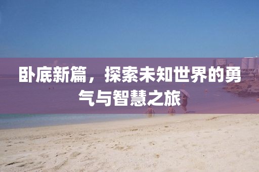 卧底新篇，探索未知世界的勇气与智慧之旅