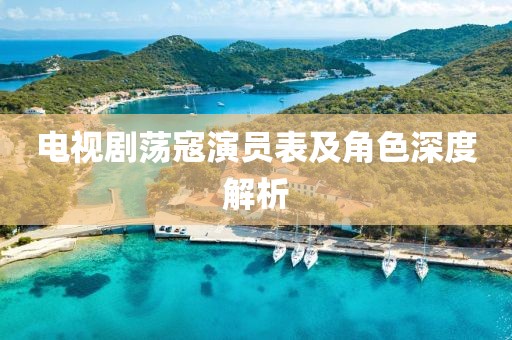 电视剧荡寇演员表及角色深度解析