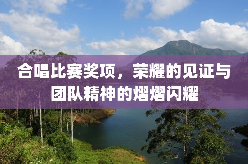 合唱比赛奖项，荣耀的见证与团队精神的熠熠闪耀
