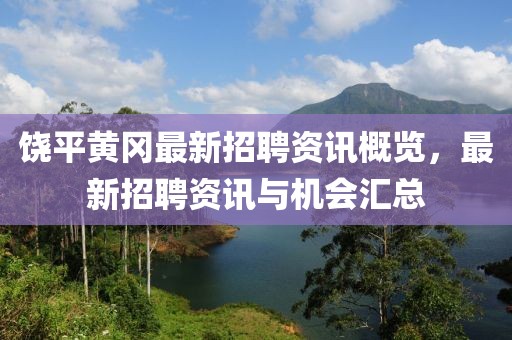 饶平黄冈最新招聘资讯概览，最新招聘资讯与机会汇总