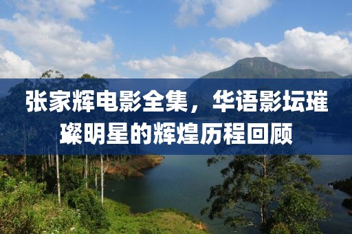 张家辉电影全集，华语影坛璀璨明星的辉煌历程回顾