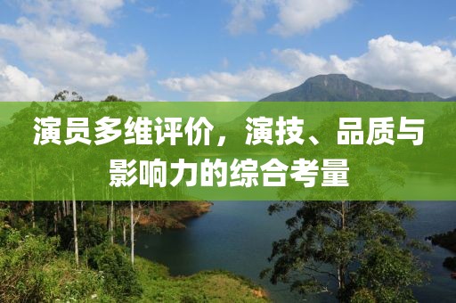 演员多维评价，演技、品质与影响力的综合考量