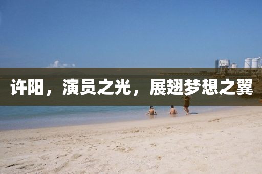 许阳，演员之光，展翅梦想之翼