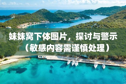 妹妹窝下体图片，探讨与警示（敏感内容需谨慎处理）