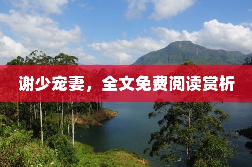 谢少宠妻，全文免费阅读赏析