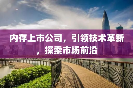 内存上市公司，引领技术革新，探索市场前沿