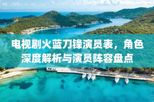电视剧火蓝刀锋演员表，角色深度解析与演员阵容盘点
