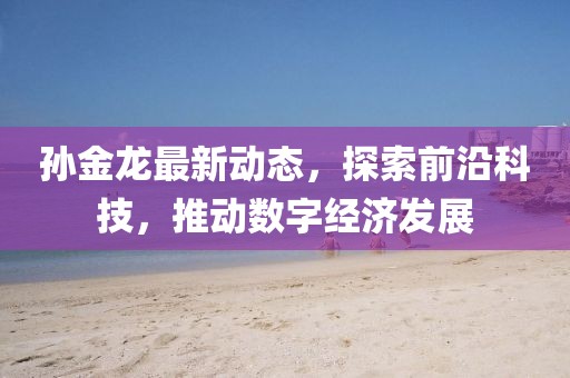 孙金龙最新动态，探索前沿科技，推动数字经济发展