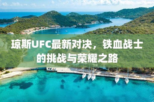 琼斯UFC最新对决，铁血战士的挑战与荣耀之路
