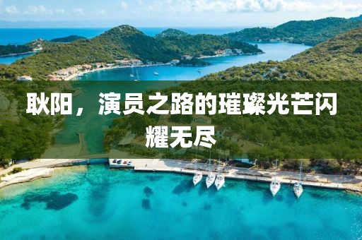耿阳，演员之路的璀璨光芒闪耀无尽