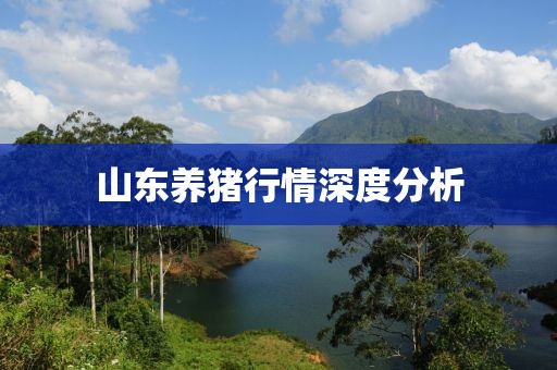 山东养猪行情深度分析
