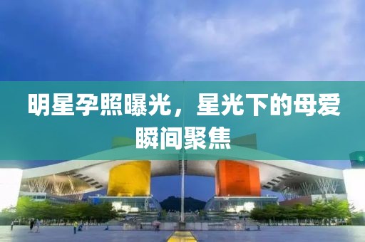明星孕照曝光，星光下的母爱瞬间聚焦