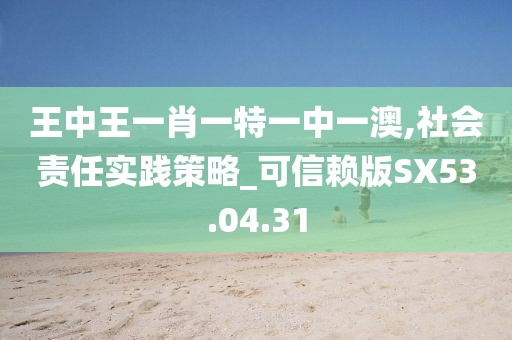 王中王一肖一特一中一澳,社会责任实践策略_可信赖版SX53.04.31