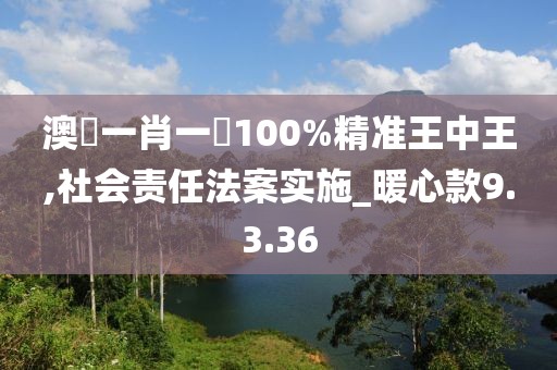 澳門一肖一碼100%精准王中王,社会责任法案实施_暖心款9.3.36
