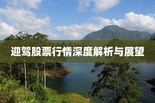 迎驾股票行情深度解析与展望
