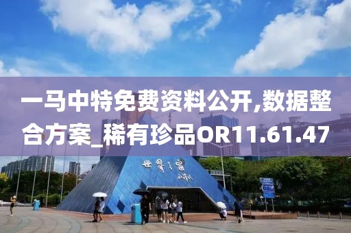 一马中特免费资料公开,数据整合方案_稀有珍品OR11.61.47