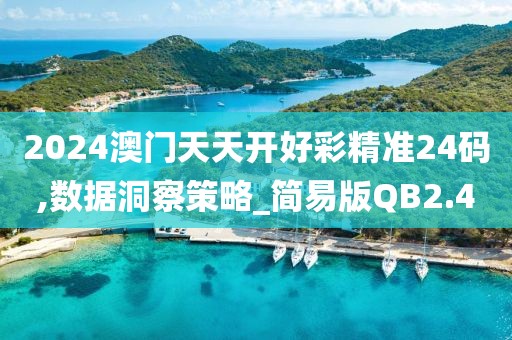 2024澳门天天开好彩精准24码,数据洞察策略_简易版QB2.4