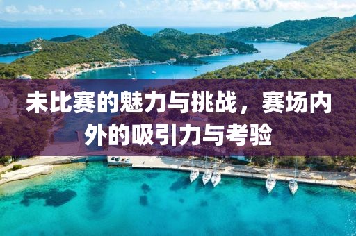 未比赛的魅力与挑战，赛场内外的吸引力与考验