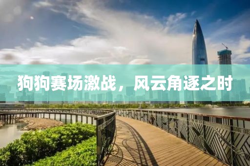 狗狗赛场激战，风云角逐之时