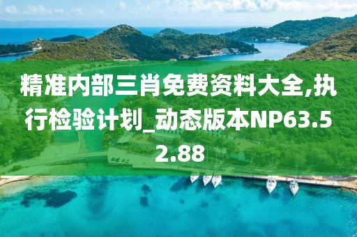 精准内部三肖免费资料大全,执行检验计划_动态版本NP63.52.88