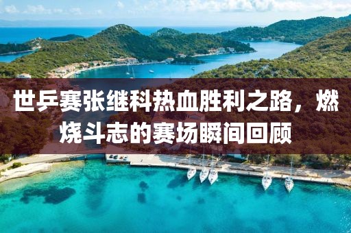 世乒赛张继科热血胜利之路，燃烧斗志的赛场瞬间回顾