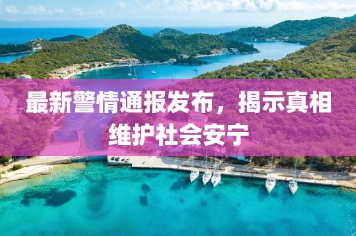 最新警情通报发布，揭示真相维护社会安宁