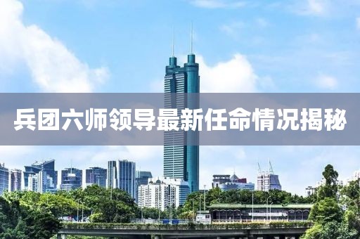 兵团六师领导最新任命情况揭秘