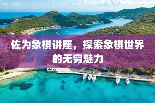 佐为象棋讲座，探索象棋世界的无穷魅力