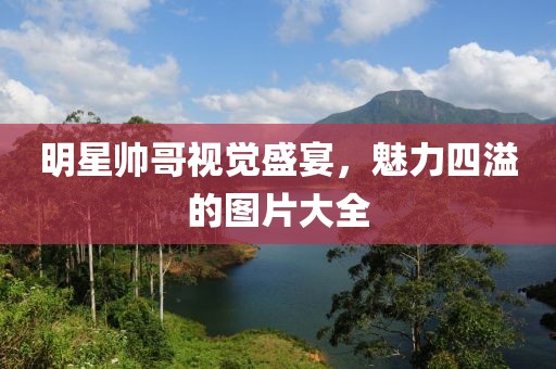 明星帅哥视觉盛宴，魅力四溢的图片大全