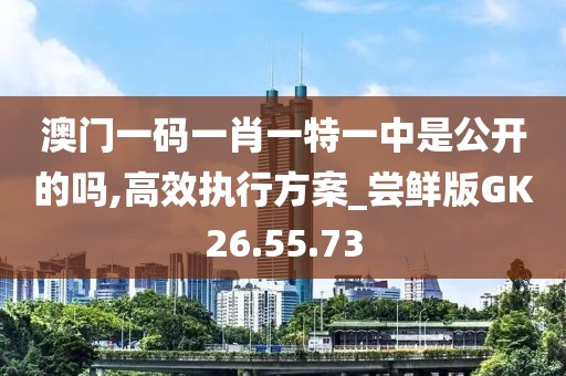 澳门一码一肖一特一中是公开的吗,高效执行方案_尝鲜版GK26.55.73