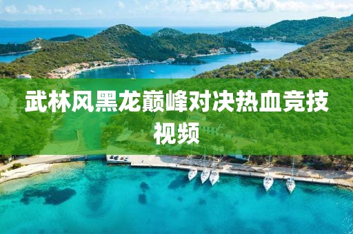 放手的纸鸢 第7页