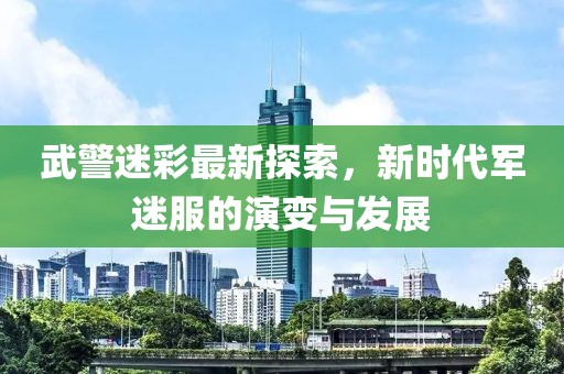 武警迷彩最新探索，新时代军迷服的演变与发展