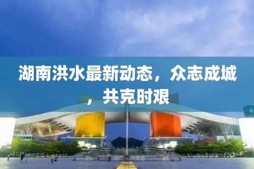 湖南洪水最新动态，众志成城，共克时艰