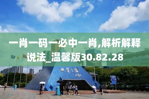 一肖一码一必中一肖,解析解释说法_温馨版30.82.28
