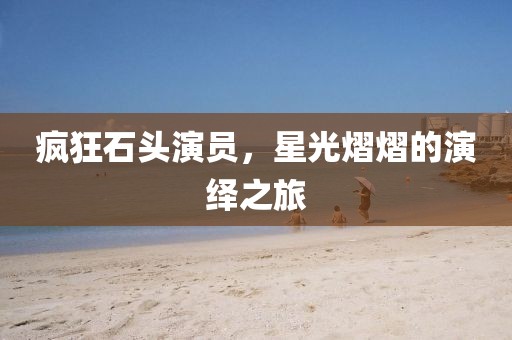 疯狂石头演员，星光熠熠的演绎之旅