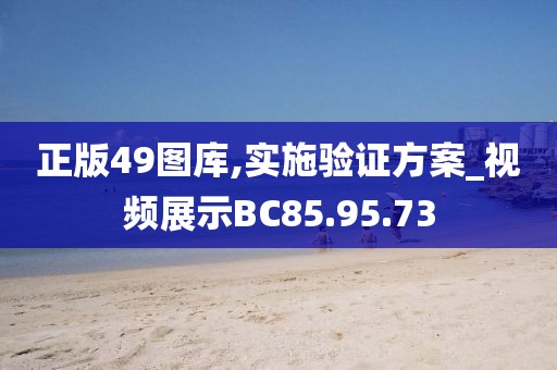 正版49图库,实施验证方案_视频展示BC85.95.73