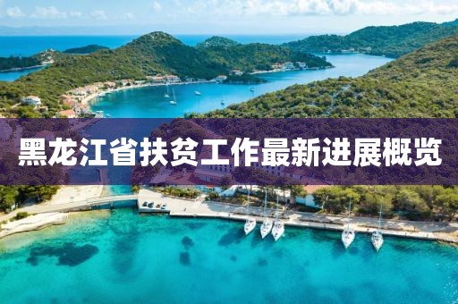 黑龙江省扶贫工作最新进展概览