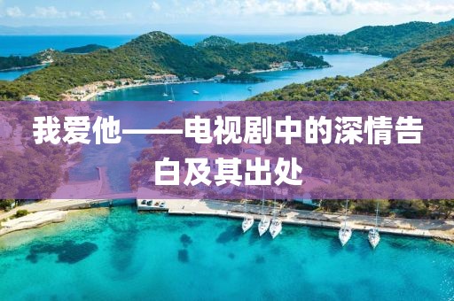 我爱他——电视剧中的深情告白及其出处