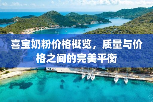 喜宝奶粉价格概览，质量与价格之间的完美平衡