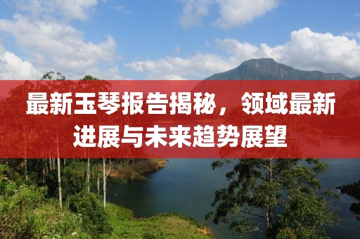 最新玉琴报告揭秘，领域最新进展与未来趋势展望
