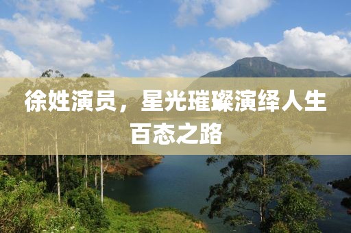 徐姓演员，星光璀璨演绎人生百态之路