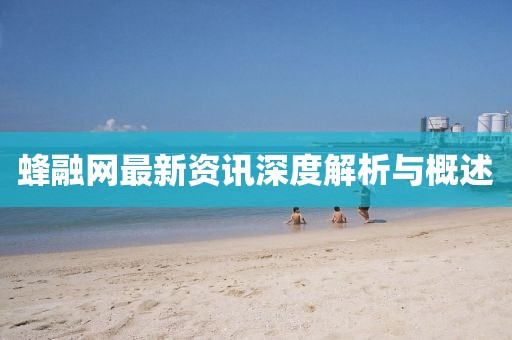 蜂融网最新资讯深度解析与概述