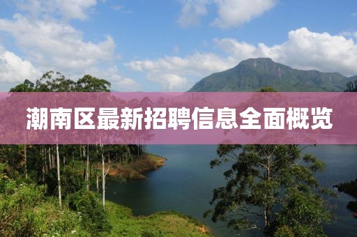 潮南区最新招聘信息全面概览