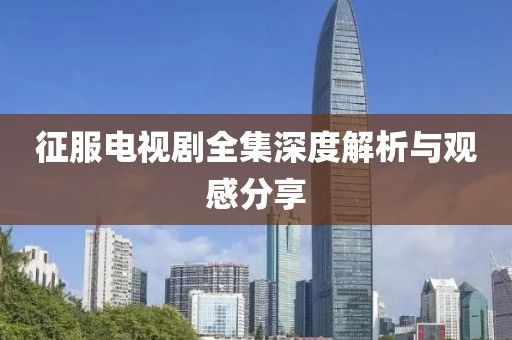 征服电视剧全集深度解析与观感分享