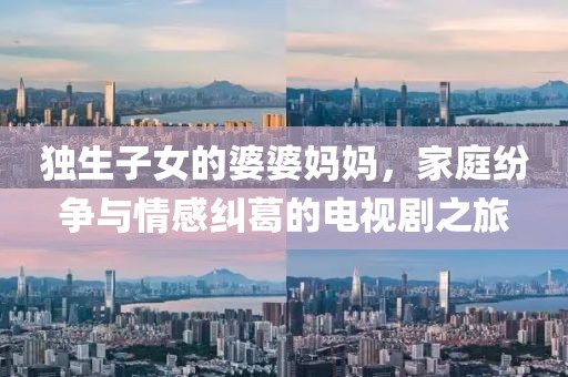 独生子女的婆婆妈妈，家庭纷争与情感纠葛的电视剧之旅