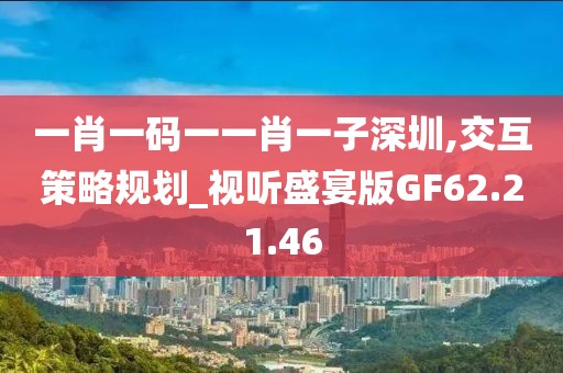 一肖一码一一肖一子深圳,交互策略规划_视听盛宴版GF62.21.46